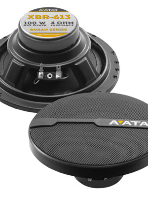 Avatar XBR-613