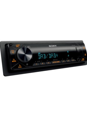 Sony DSXB41D
