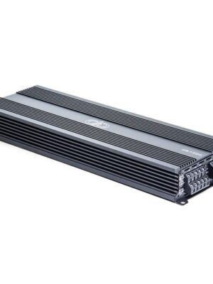 DD Audio D5.1000