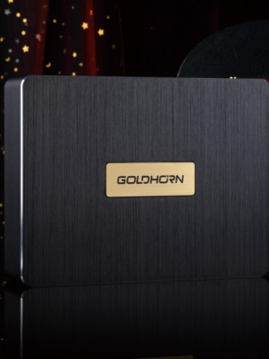 Goldhorn DSP10