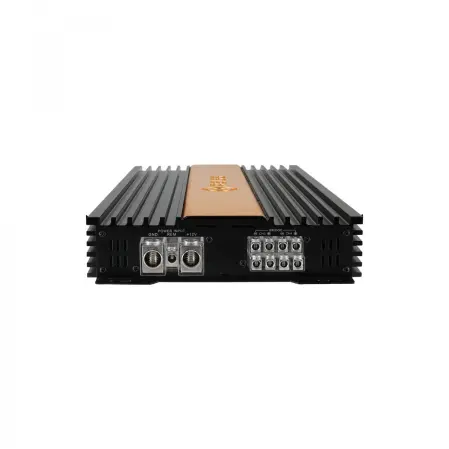 RS 4200.4