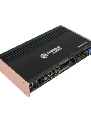 RS DSP6 100