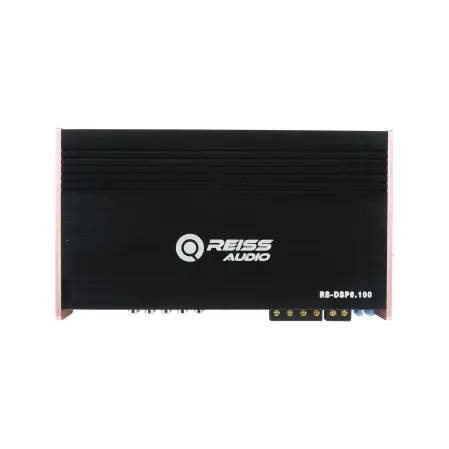 RS DSP6 100