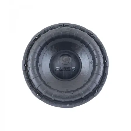 RS RX15