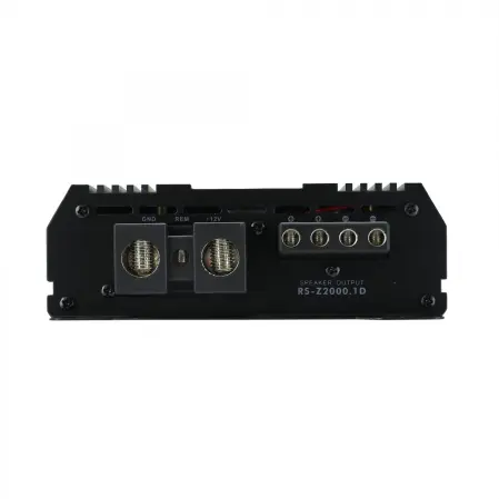 RS Z2000.1D