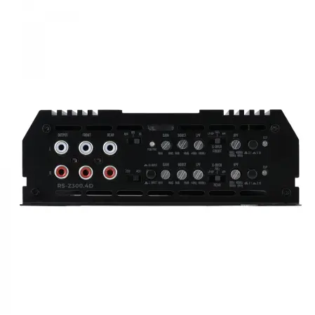 RS Z300.4D