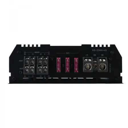 RS Z300.4D