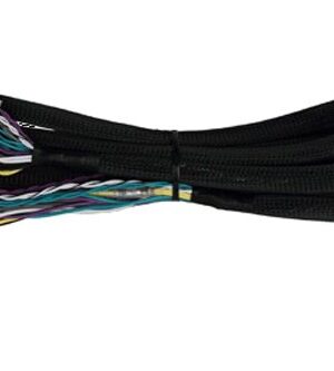 PP-EC-40.jpg PP EC 40.jpg
